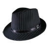 Pinstipe fedora hat