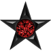 Ruby game play achievement of a star