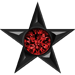 Reach Level 1,075 Ruby game play achievement of a star