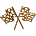 100 Races Won Bronze game play achievement of two flags